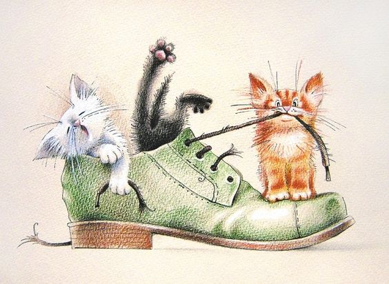 Kittens with shoes